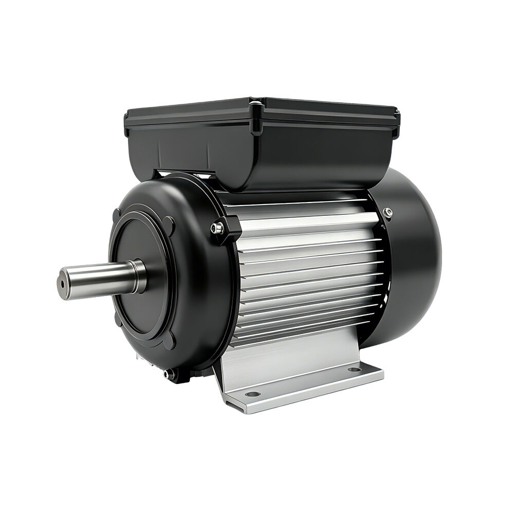 Custom Series Motor