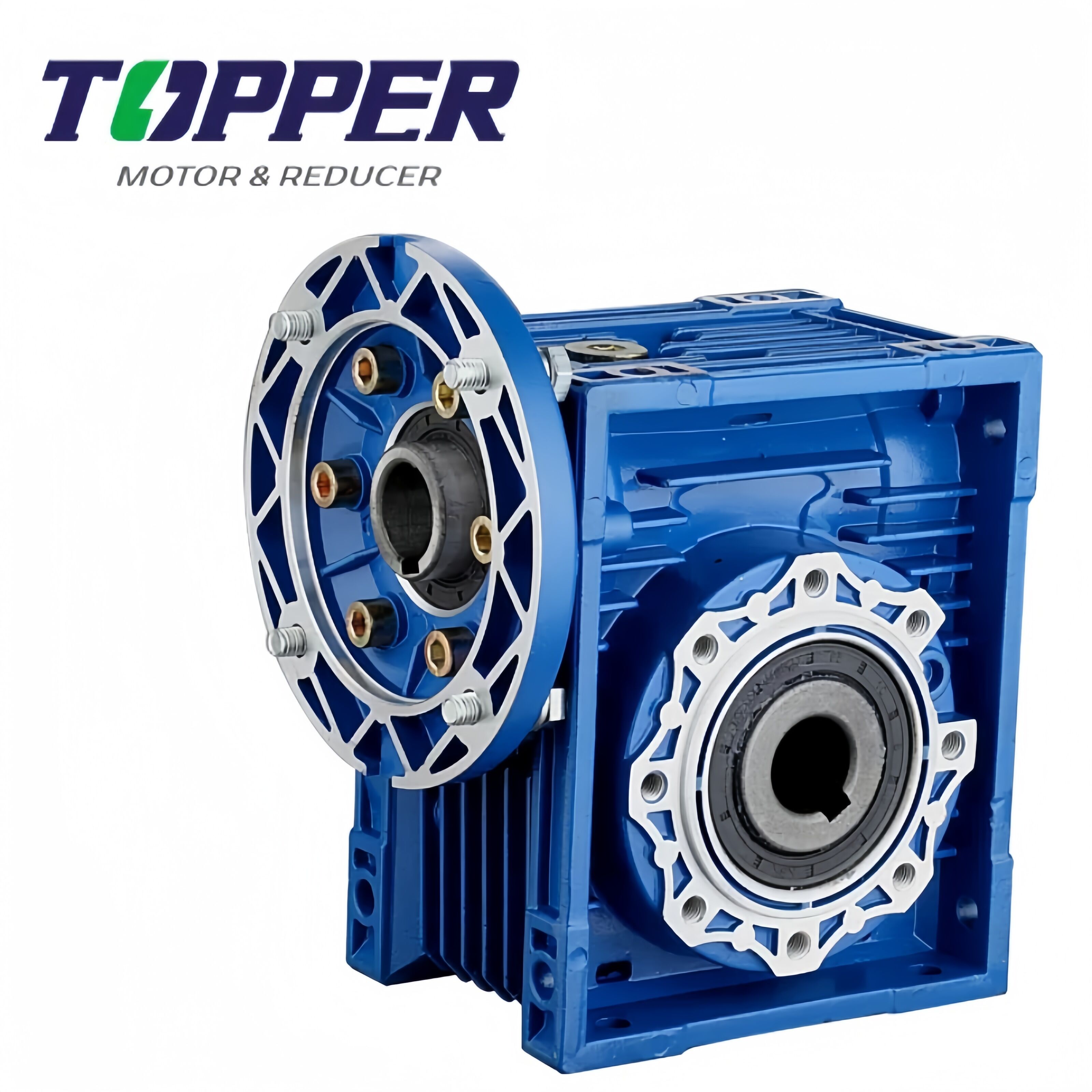 Worm Reducer