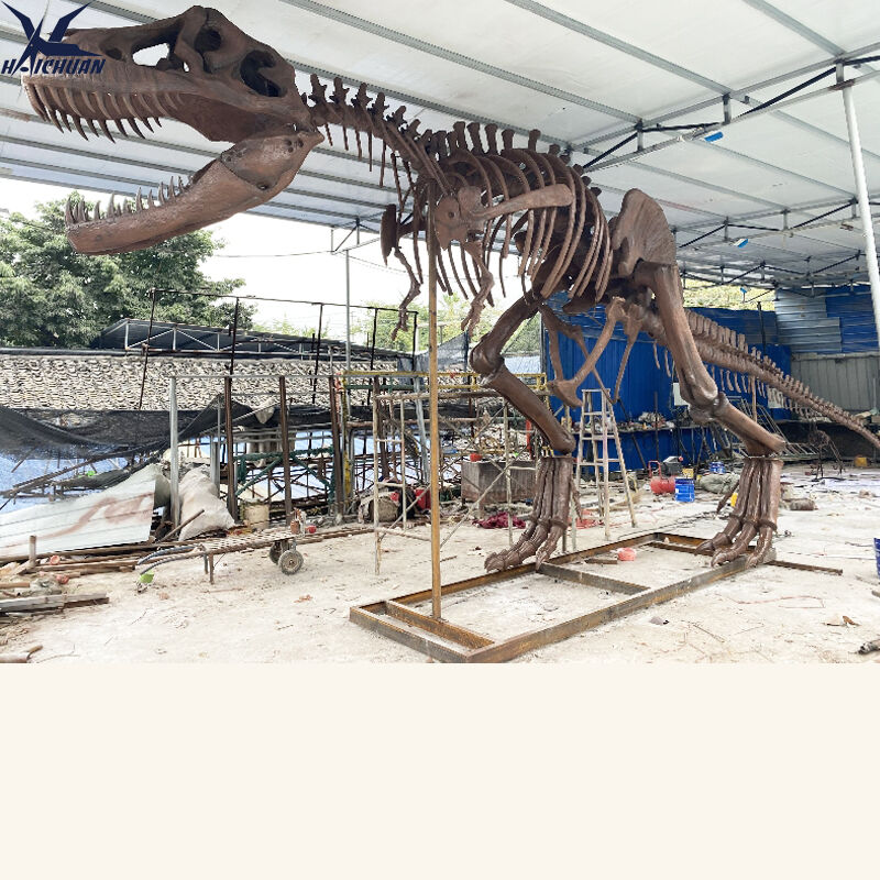 霸王龙骨架 2.jpg