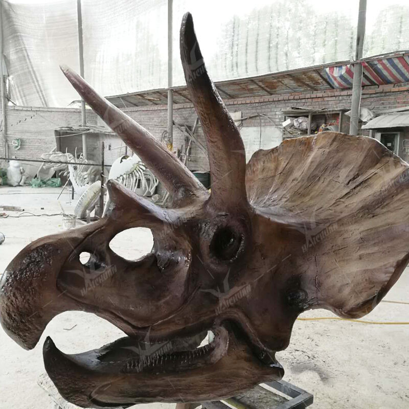 Livsstørrelse Dinosauriemuseum Fossiler Udstilling Indendørs Fiberglas T-Rex Triceratops Hoved Skelet til Eventyrparker