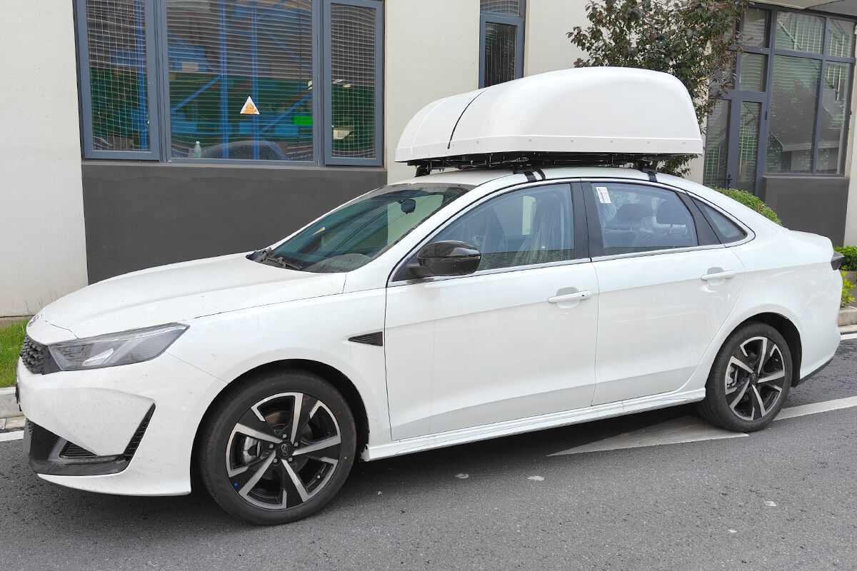 barrier free self driving car modification-4