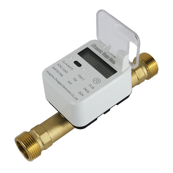LoRa Smart Water Meter: Long-Range IoT Connectivity
