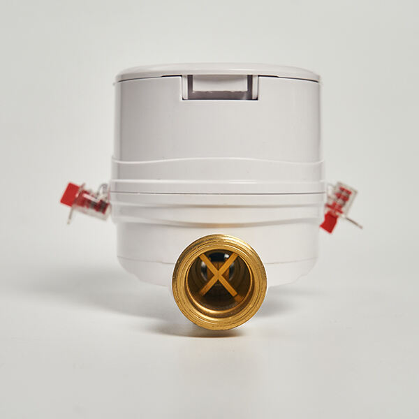 Water Meter with Valve: Integrated Control and Measurement