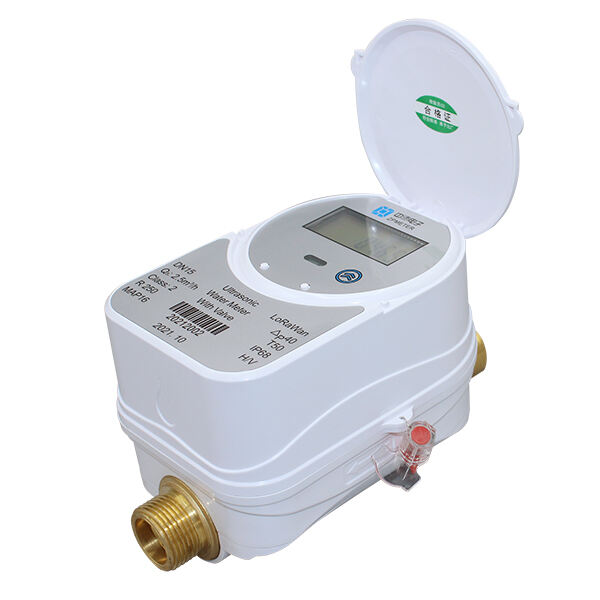 LoRa Smart Water Meter: Long-Range IoT Connectivity