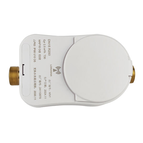 Compteur d'eau Modbus : Communication de qualité industrielle
