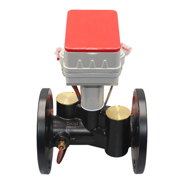 Water Meter with Valve: Integrated Control and Measurement