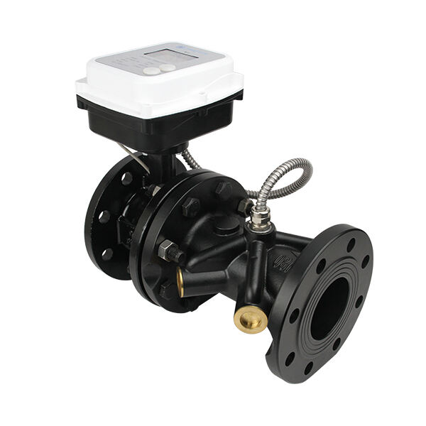 Smart Water Meter: Advanced Water Management