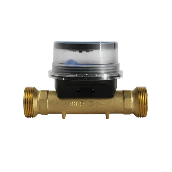 Remote Water Meter: Hassle-Free Meter Reading
