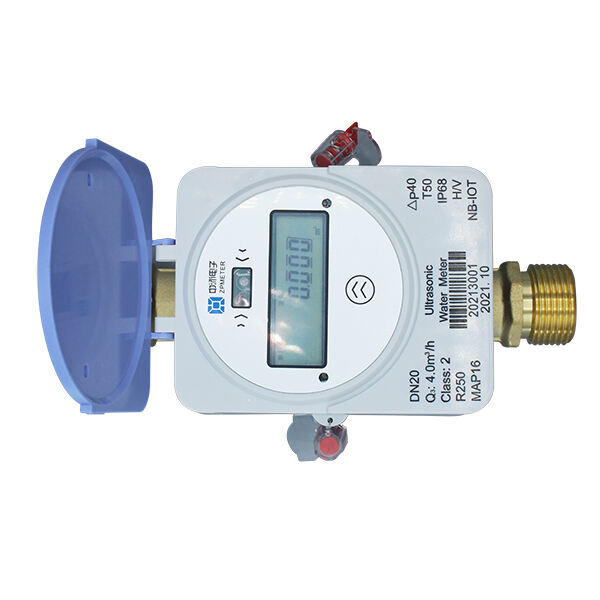 Remote Water Meter: Hassle-Free Meter Reading