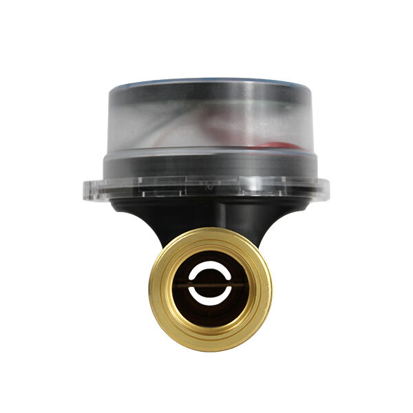 Water Meter with Valve: Integrated Control and Measurement