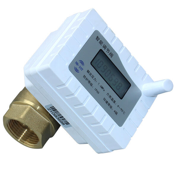 LoRa Smart Water Meter: Long-Range IoT Connectivity