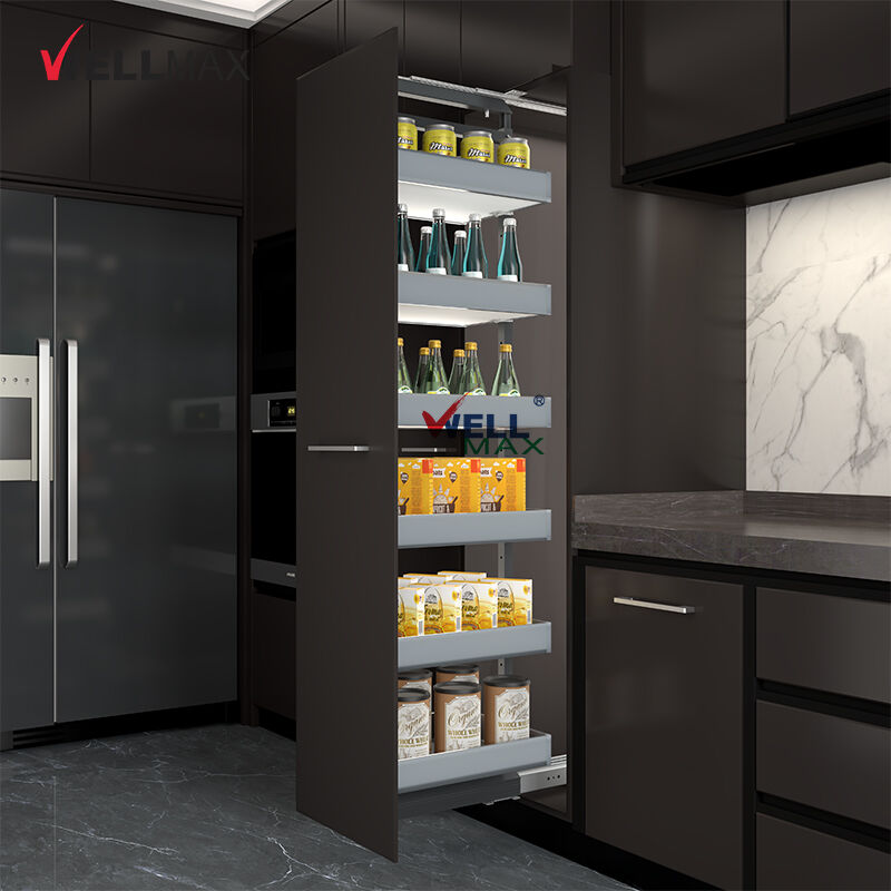 Wellmax 6 - Tier Heavy - Duty Pantry Organizer: Modern Kitchen Storage ...