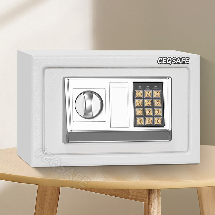 The Ultimate Protection for Your Valuables