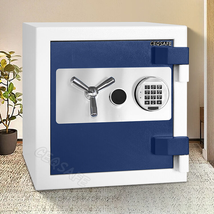 Proven Track Record with Global Clients