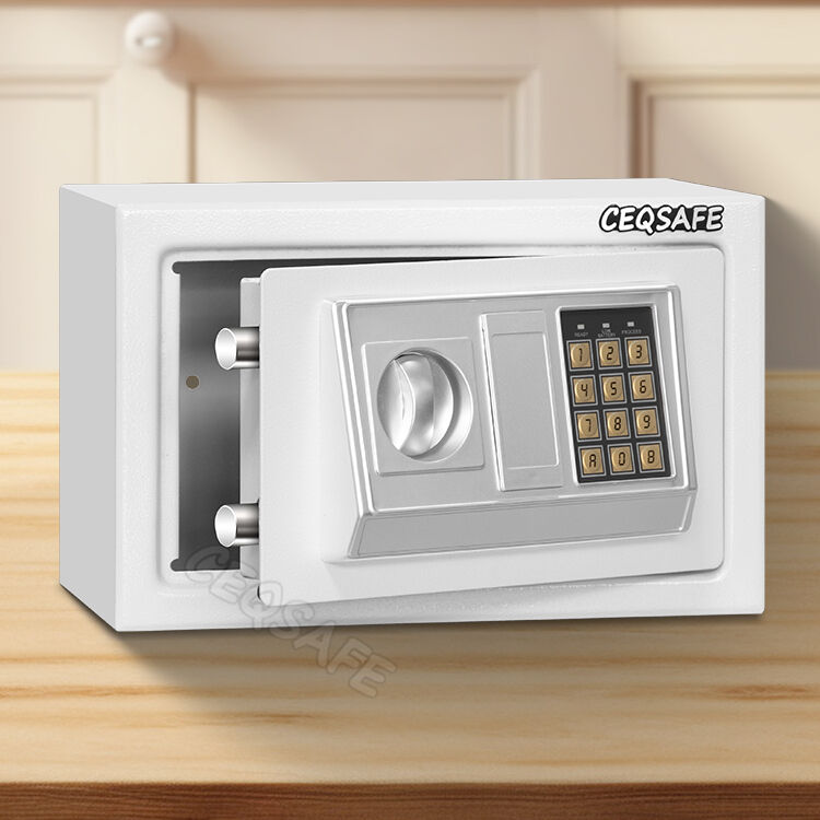 Fingerprint Safe Box | Biometric Security for Business & Home