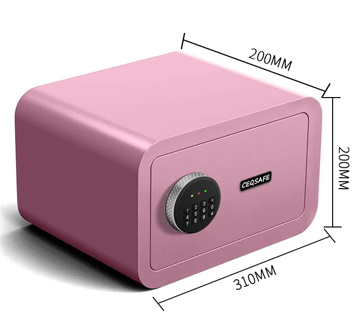 A Small Safe Suitable for Children