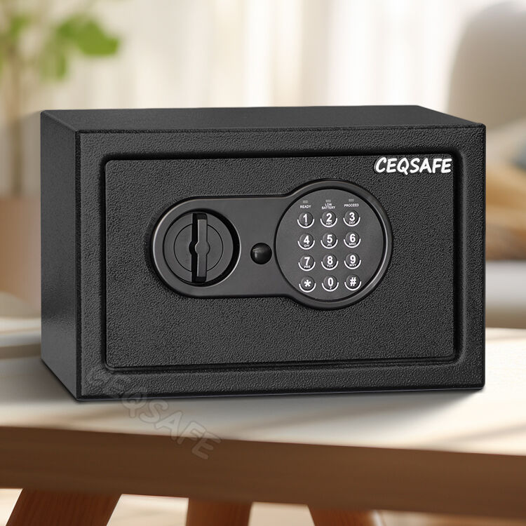 Safe Boxes for Money | Fireproof & High-Security Cash Safes