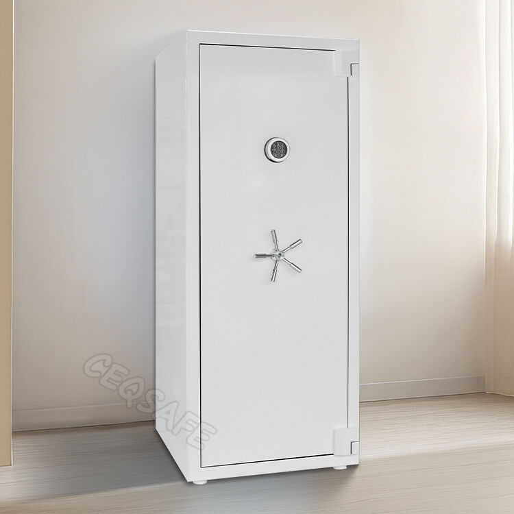  The Ultimate Protection for Your Valuables