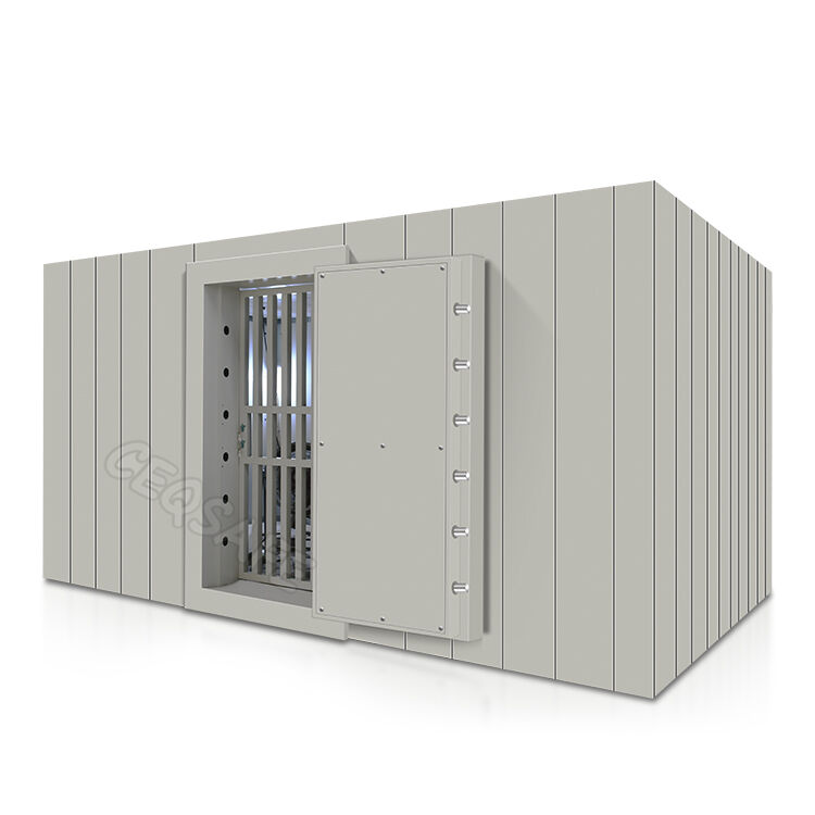 Bank Vault Solutions | High-Security Vaults for Financial Institutions