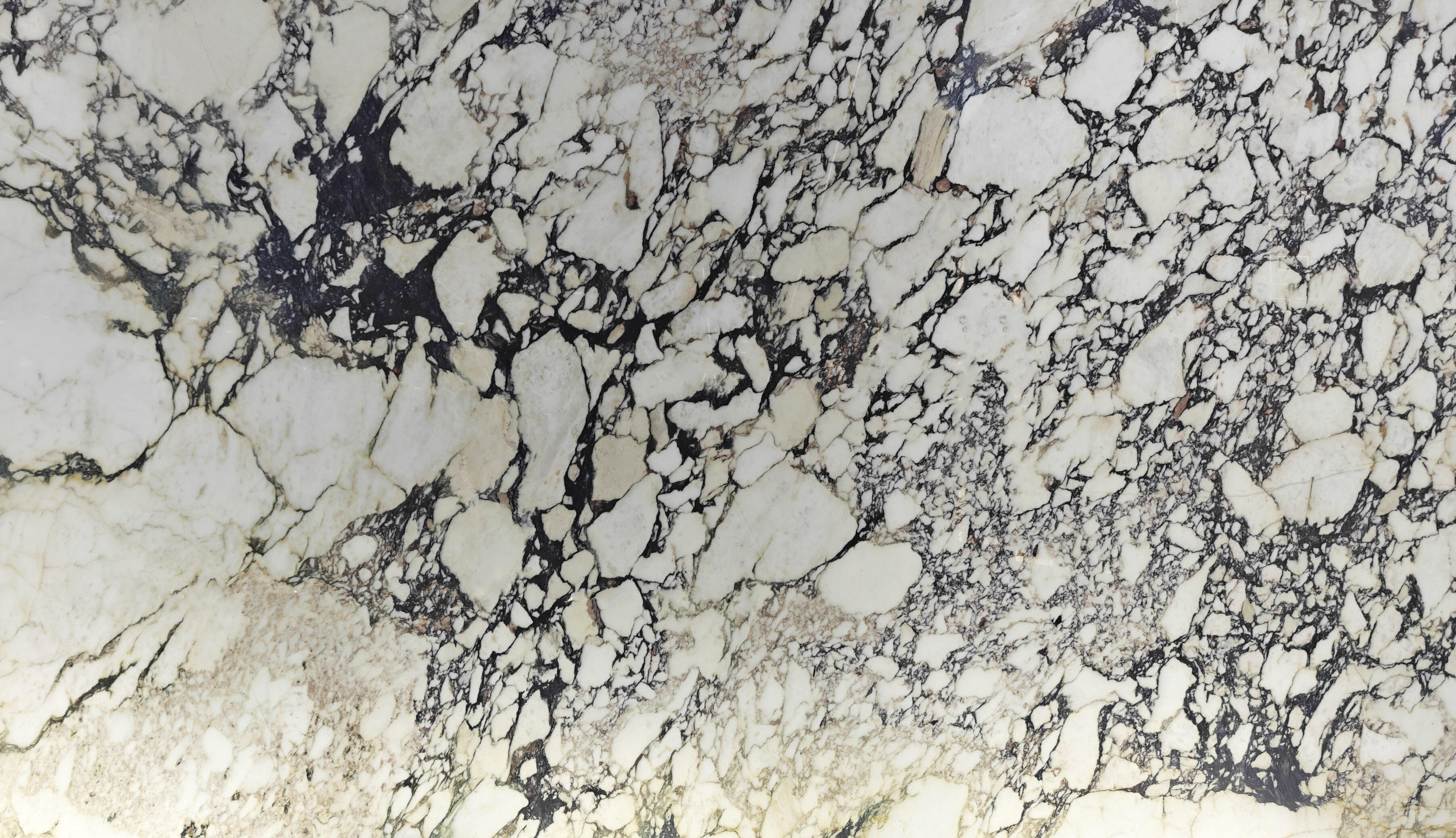 Calacatta Viola Marble