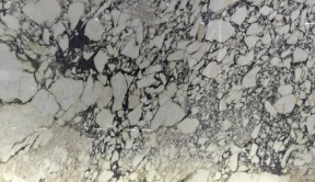 Calacatta Viola Marble