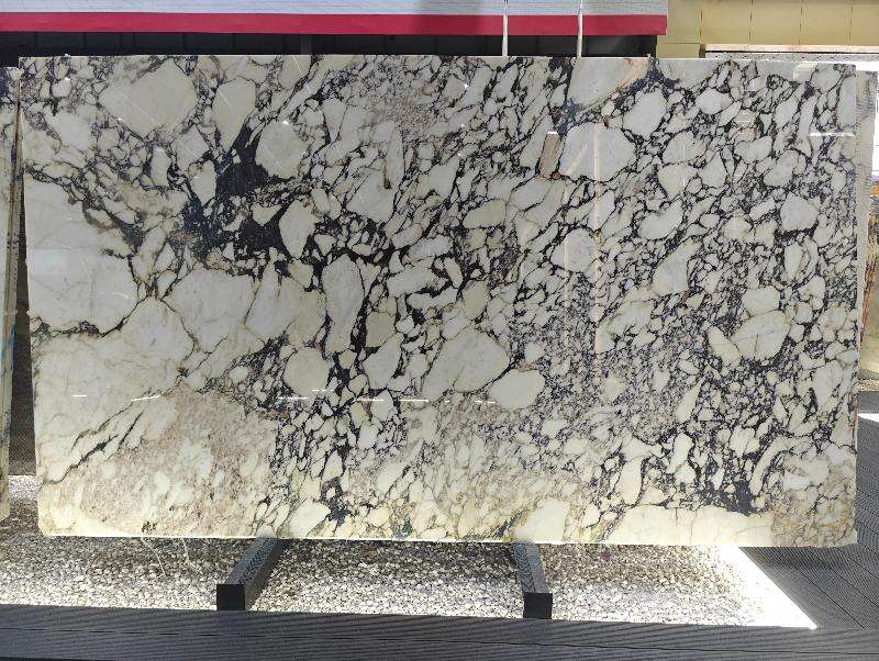 Calacatta Viola Marble (3).jpg
