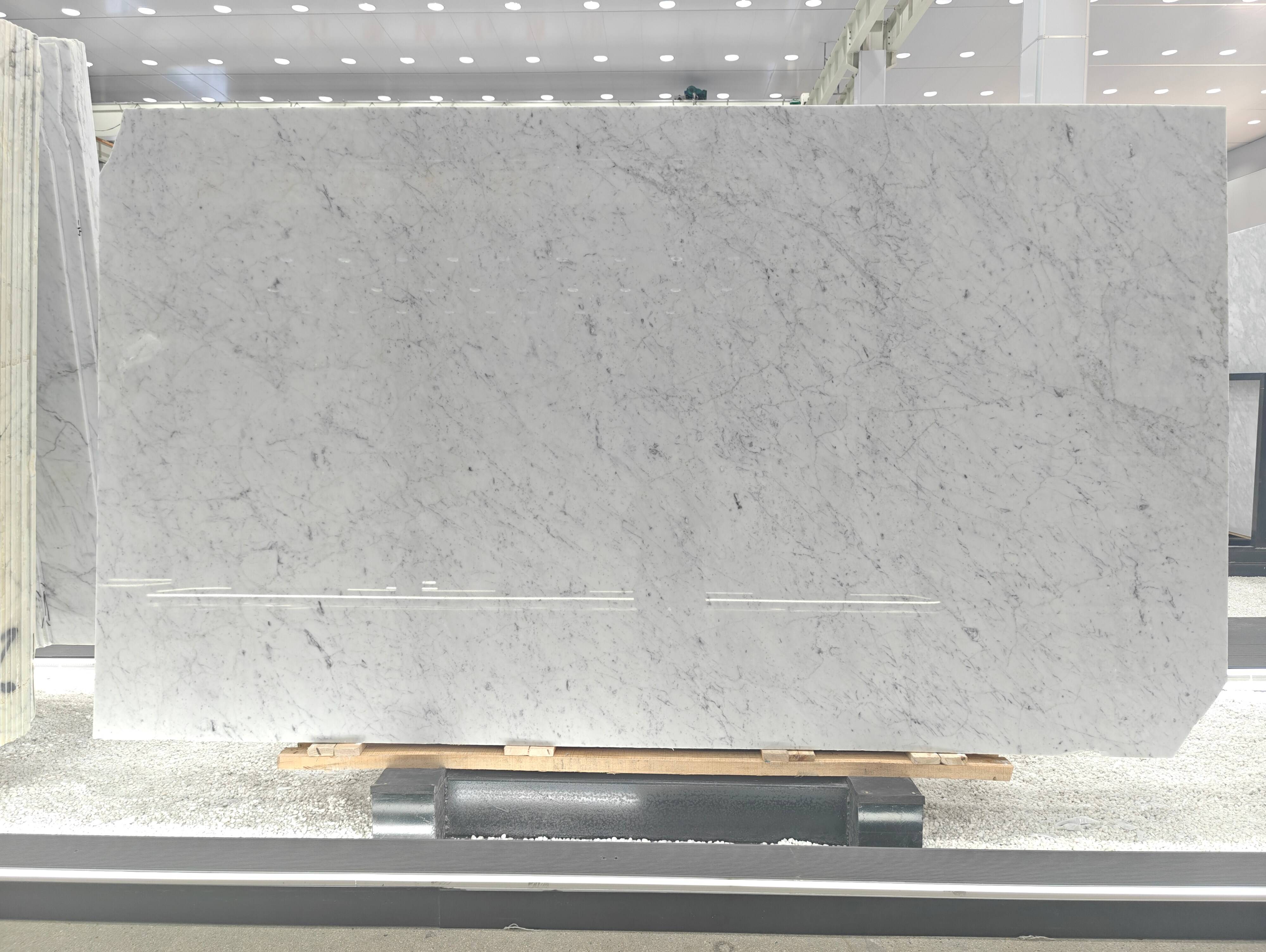 Bianco Carrara White Marble (2).jpg