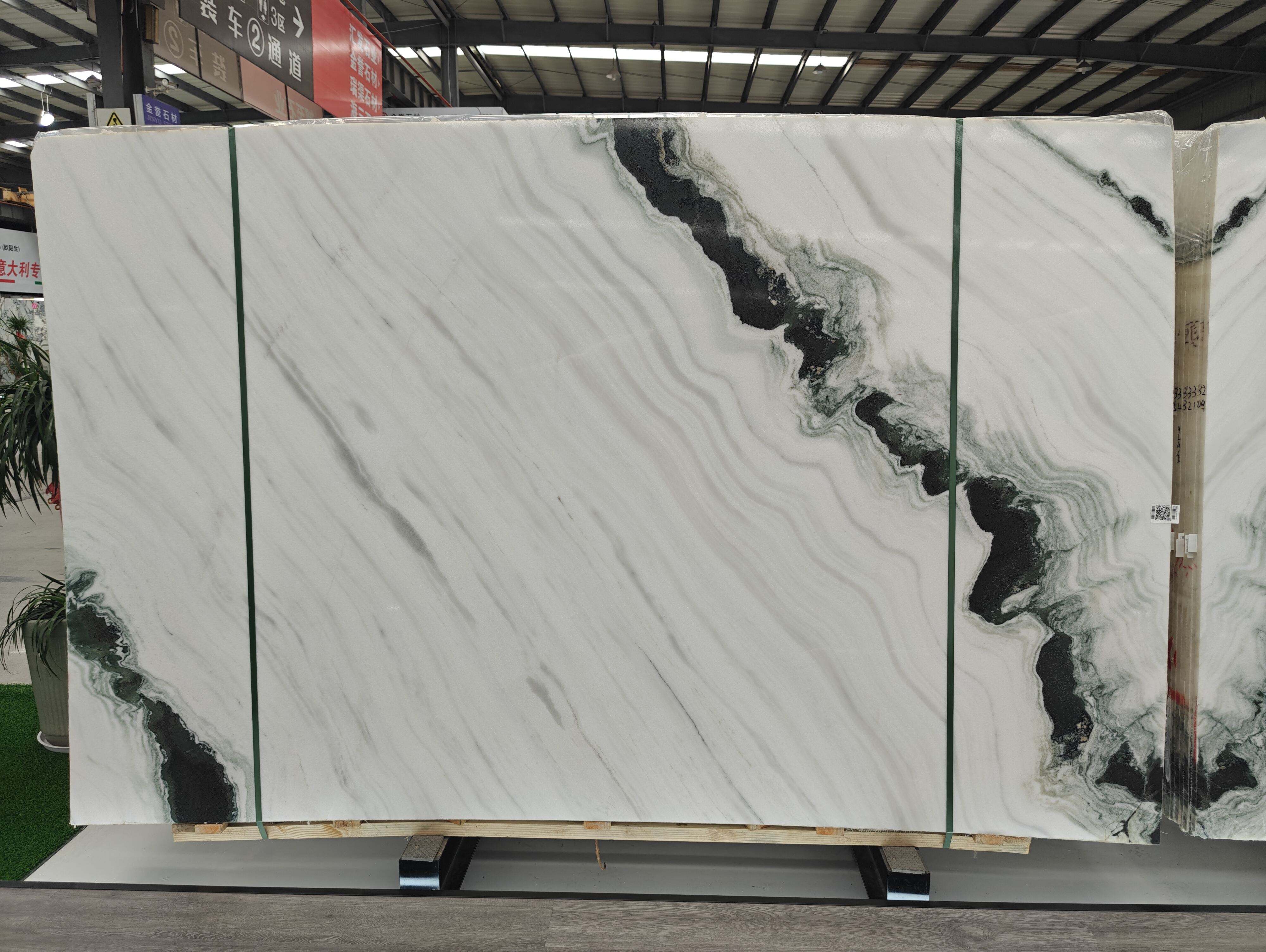 Servizi Digitali Completi