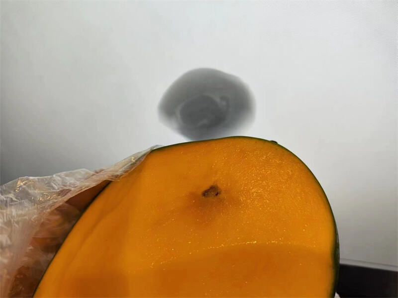 X-ray Inspection System for Mango