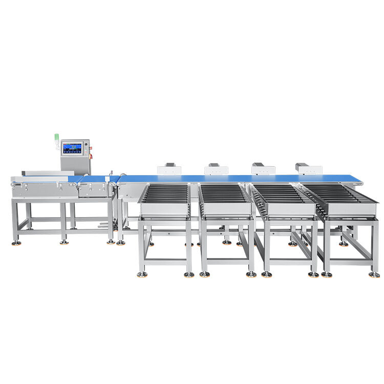 Multi-Stage Weight Sorting and Grading Machine for Fruits, Vegetables, Seafood and Hardware