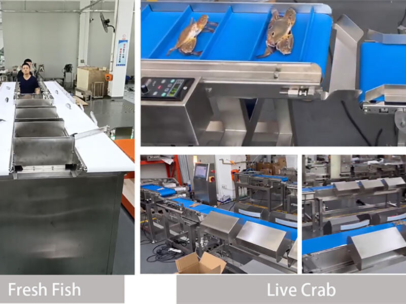 Aquatic Products