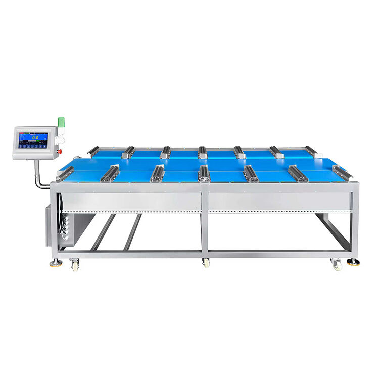 12-Head Linear Combination Weigher for Fruits, Vegetables and Hardware Parts