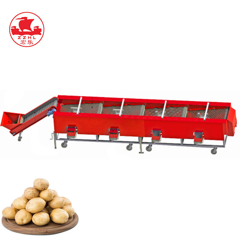 Potato Processing Line with Sorter Machine | Complete Cleaning, Sorting ...