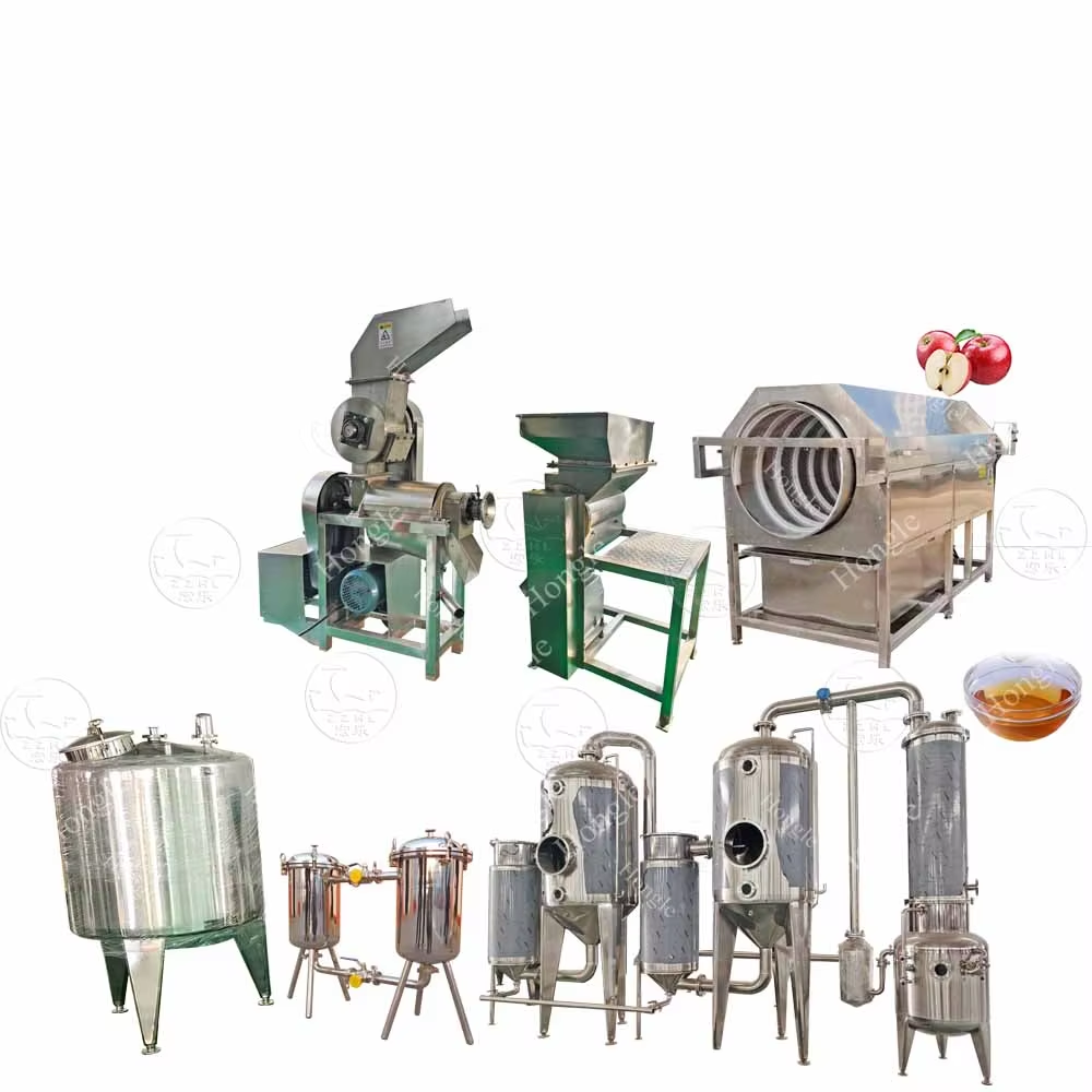 Línea de Producción de Zumo de Manzana | Soluciones Llave en Mano 500-10,000 L/H