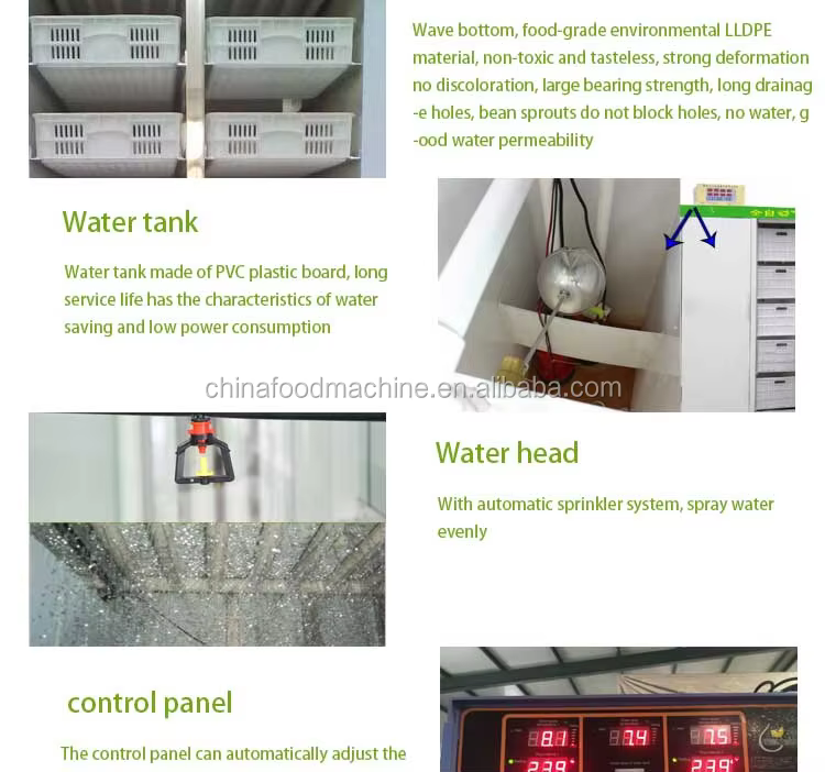 Multifunctional Seed Electric Germinating Barley for Farms Bean Automatic Micro Green Sprout Machine manufacture
