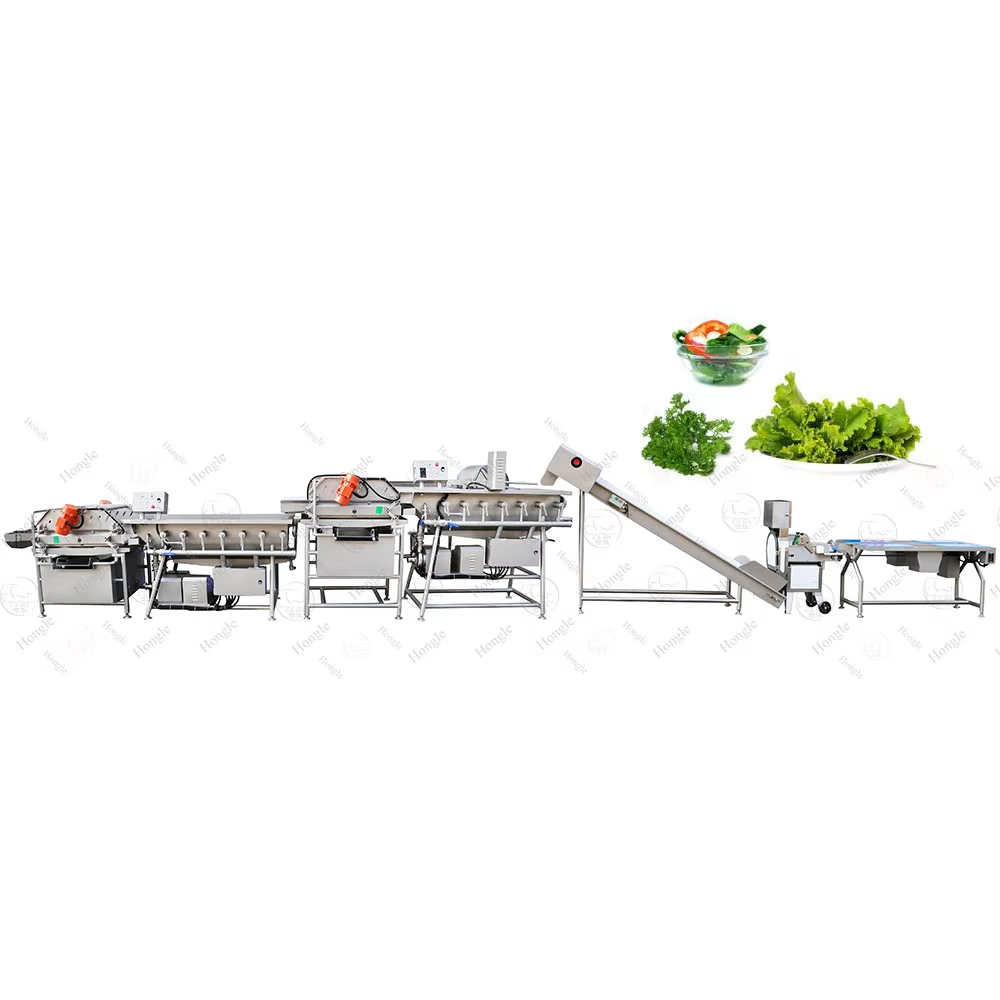 Reducing Food Waste with Advanced Fruit and Vegetable Processing Technology