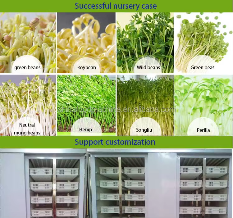 Multifunctional Seed Electric Germinating Barley for Farms Bean Automatic Micro Green Sprout Machine details