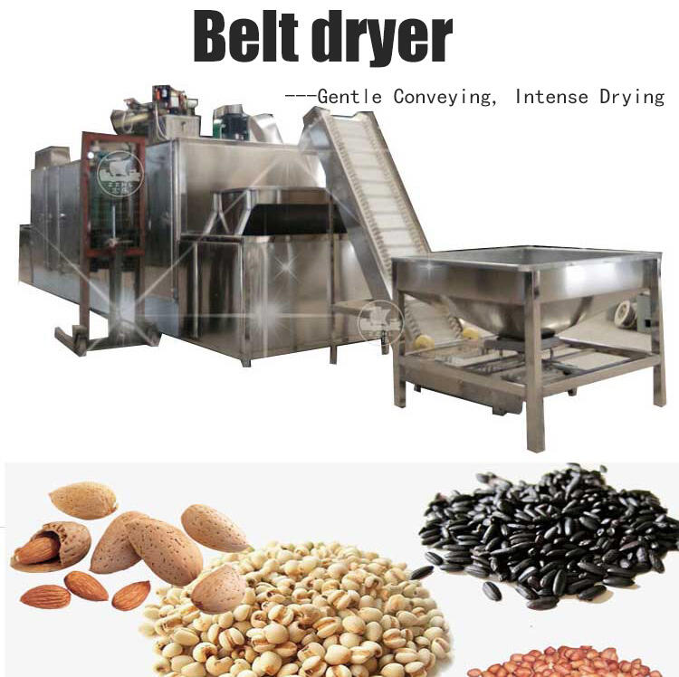 BeltTypeHotAirDryer (0).jpg