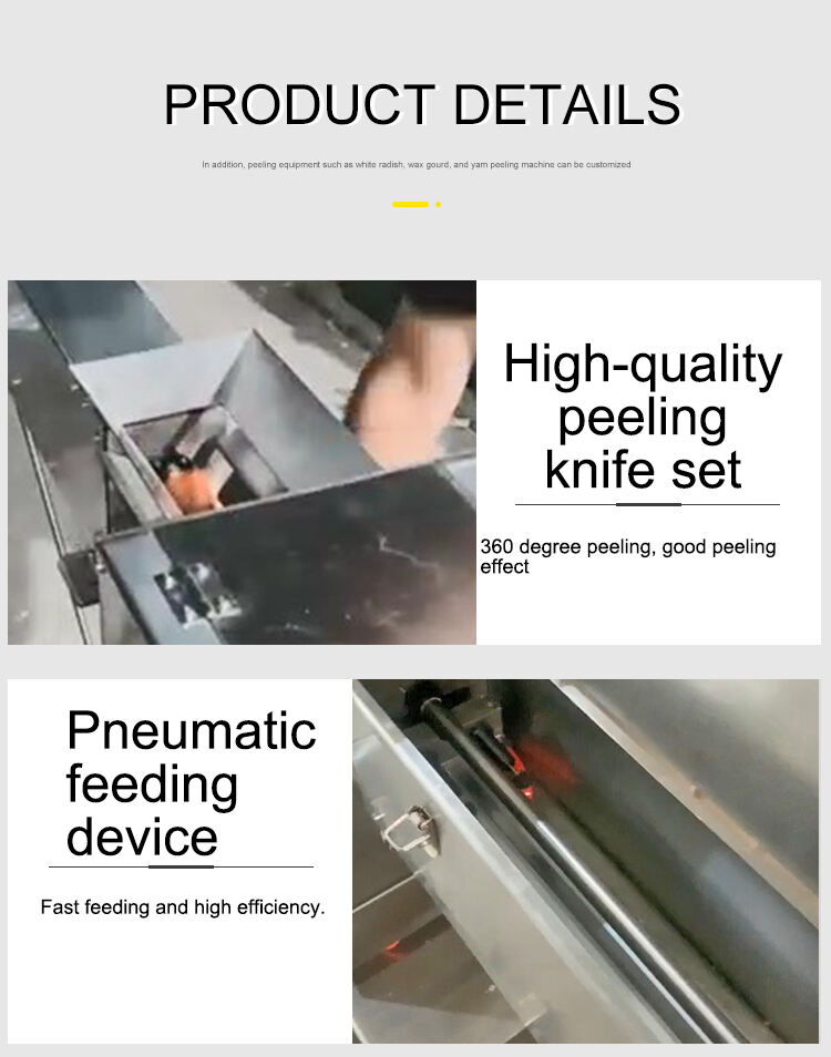 New Technology Carrot Peeler Blade Peeling Type Automatic Carrot Peeling Machine manufacture