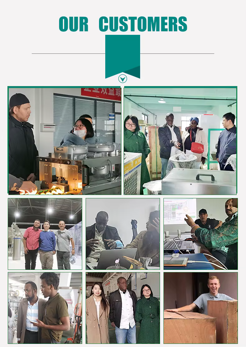 Professional Automatic Garlic Splitter/Dry Garlic Breaking Machine/Garlic Clove Separator supplier
