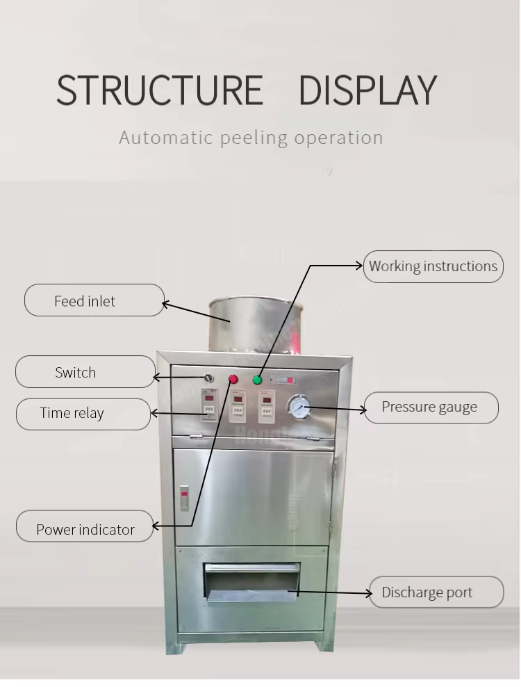 1000 Kg/H Smart Newest Design Garlic Peeler Machine Full-Automatic Commercial Garlic and Ginger Peeling Machine Price manufacture
