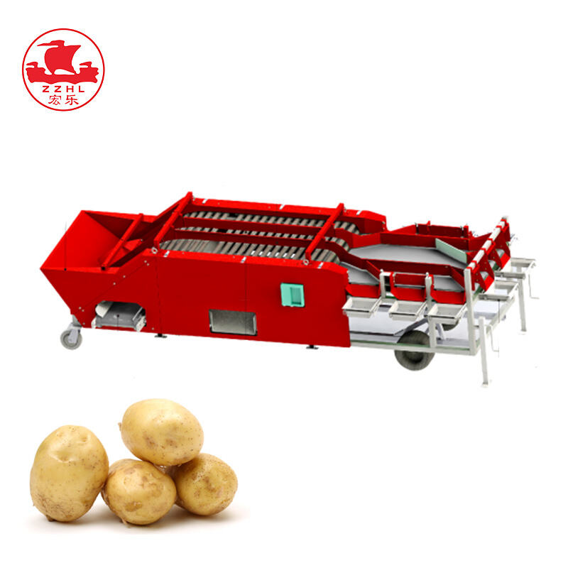 Potato Processing Line with Sorter Machine | Complete Cleaning, Sorting ...