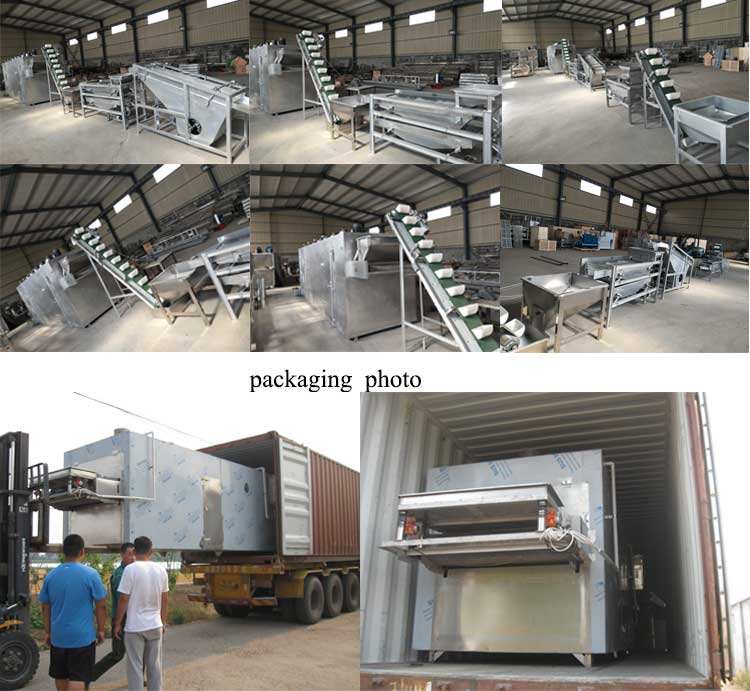 BeltTypeHotAirDryer (4).jpg