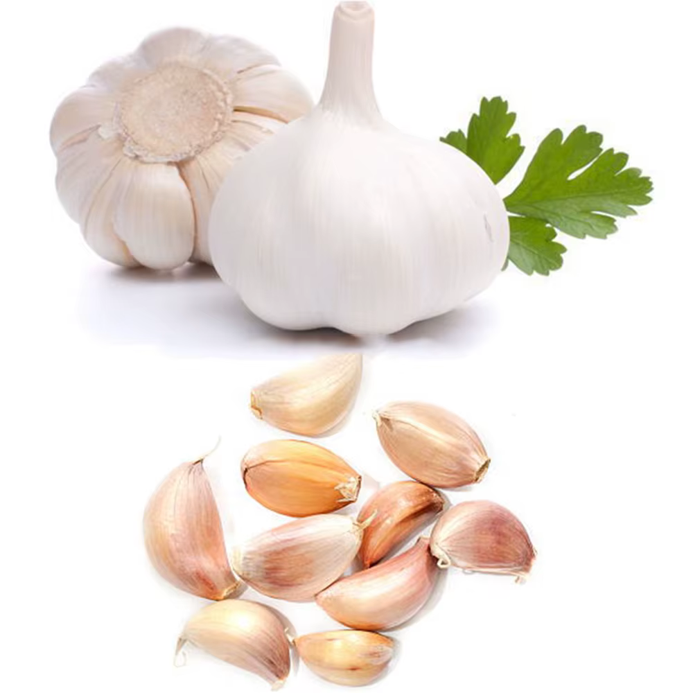 High Quality 400 Kg Chain Type Dry Garlic Onion Peeling Machine Auto Garlic Skin Peeler Machine factory