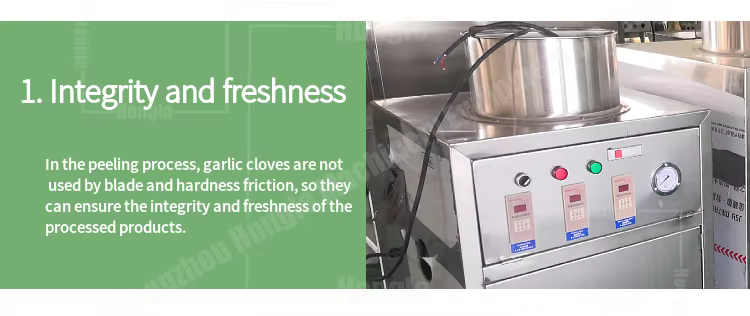 1000 Kg/H Smart Newest Design Garlic Peeler Machine Full-Automatic Commercial Garlic and Ginger Peeling Machine Price details