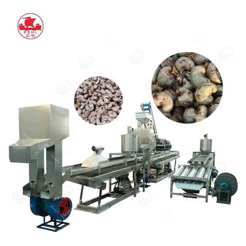 How a Cashew Processing Plant Works: From Raw Nuts to Packed Kernels