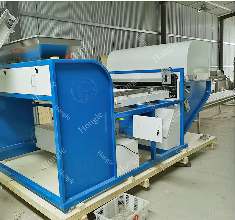 High Quality 400 Kg Chain Type Dry Garlic Onion Peeling Machine Auto Garlic Skin Peeler Machine factory
