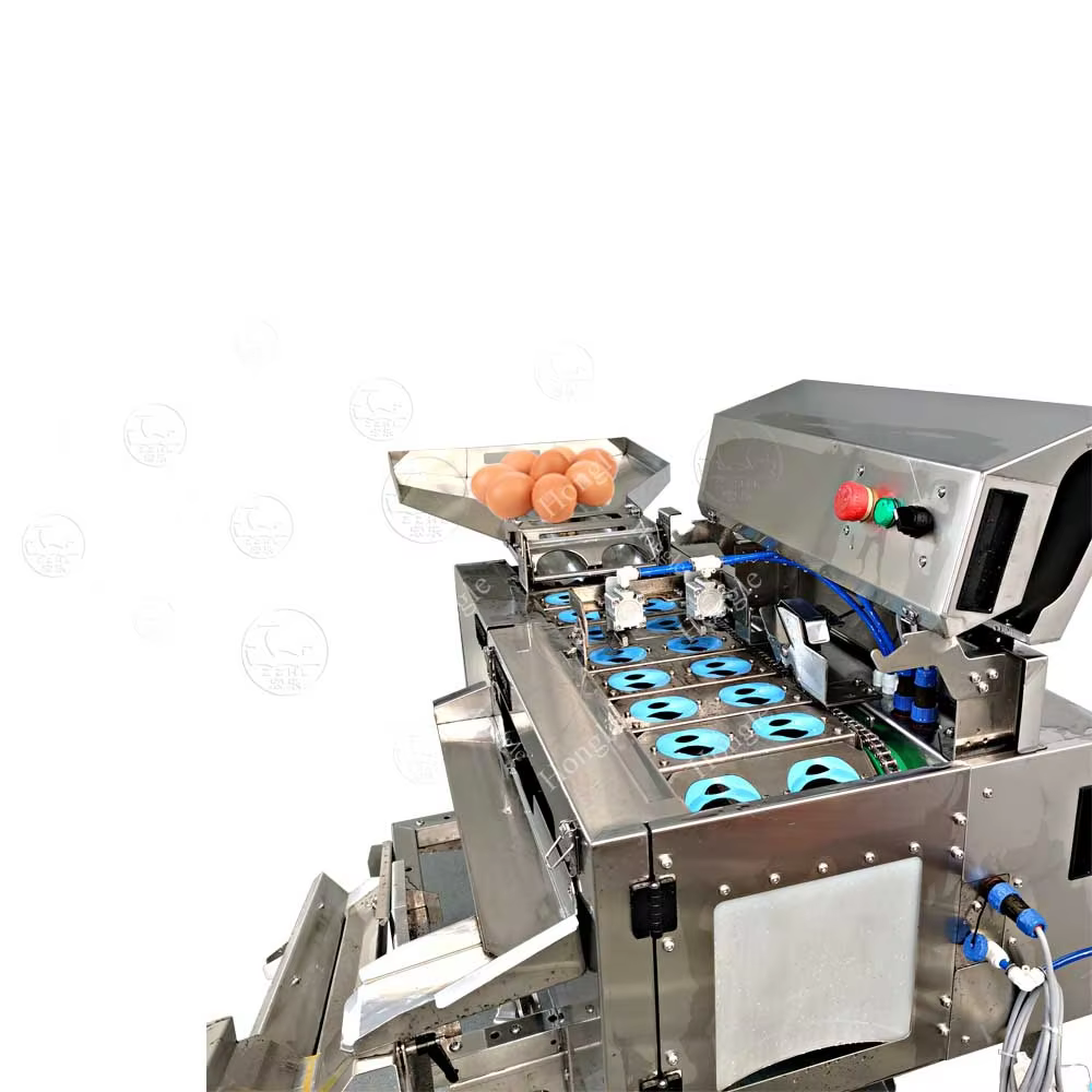 Liquid Egg Production Line for Small Egg Powder Making Pasteurization Machine Egg Breaker Yolk Separating Machine