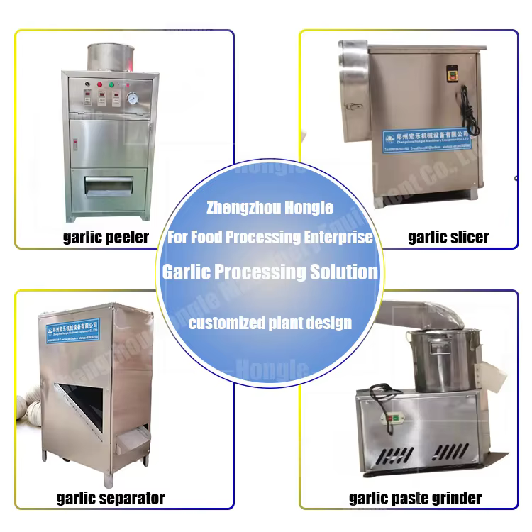 Professional Automatic Garlic Splitter/Dry Garlic Breaking Machine/Garlic Clove Separator factory
