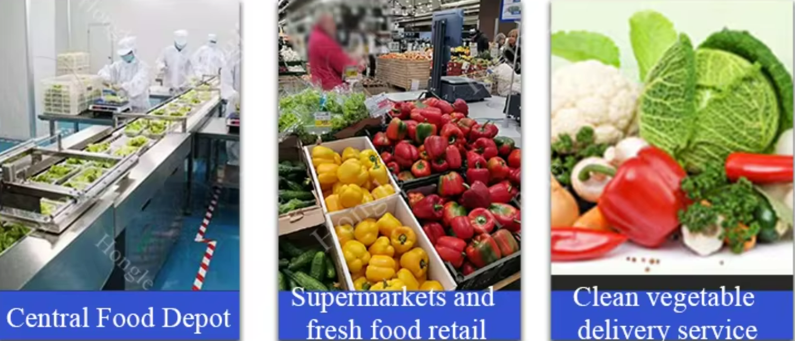 Minimizing Post-Harvest Losses with AutomatedFruit and Vegetable Processing Machines